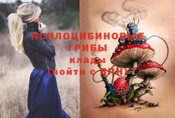 бутират Алексин