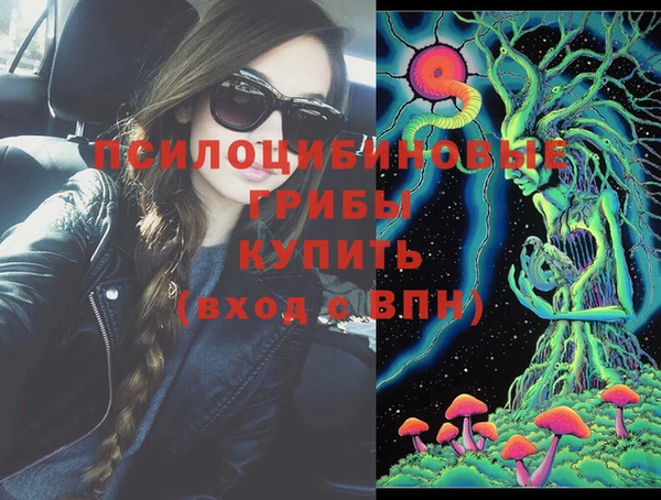 дурь Алзамай