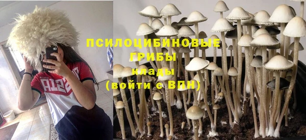 бутират Алексин