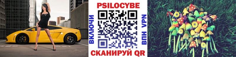 Галлюциногенные грибы Magic Shrooms  ссылка на мегу tor  Кимры 